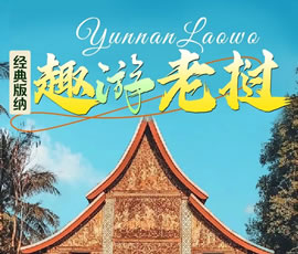 【趣游老撾 · 經(jīng)典版納】—昆明、普洱、西雙版納、磨丁、瑯勃拉邦四動(dòng)8日游